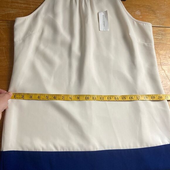 Banana Republic NWT Cream White Navy Blue Color Block Shift Dress Sz 14 - Picture 5 of 8